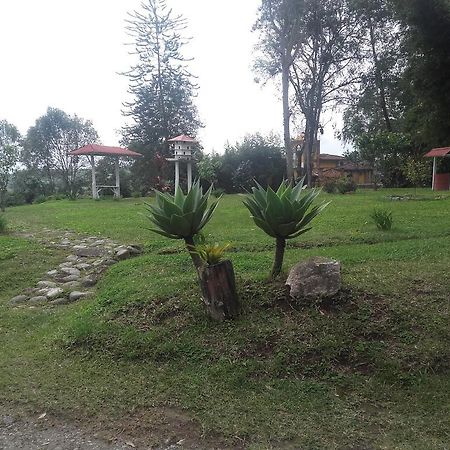 La Gaviota Bnb Filandia Exterior foto
