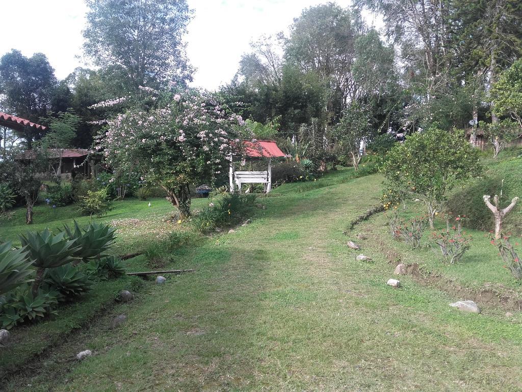 La Gaviota Bnb Filandia Exterior foto